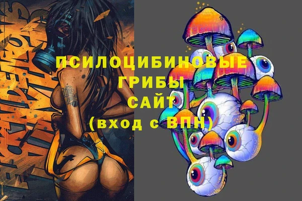 apvp Аркадак